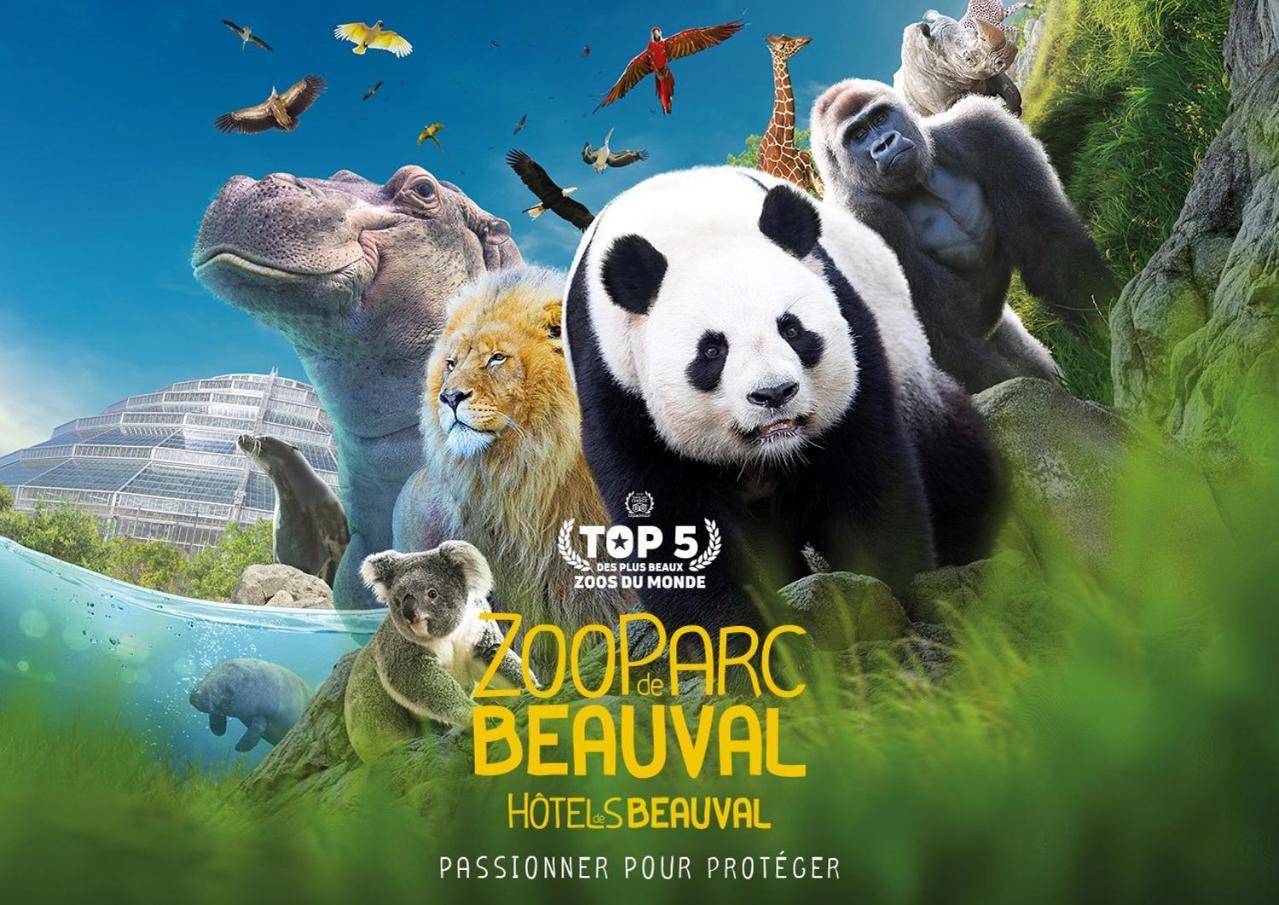Studio Paon D'Or, 5 Minutes Du Zooparc De Beauval سانت إينيو المظهر الخارجي الصورة